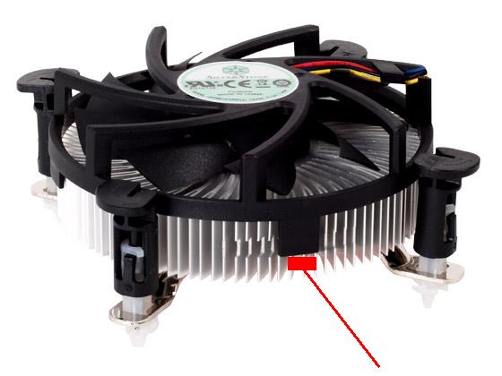 FAN775.jpg
