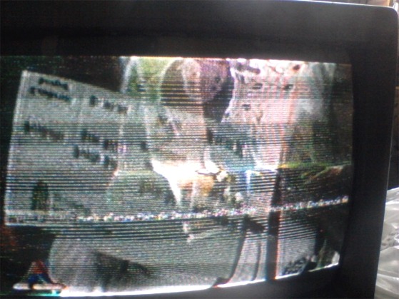 tv thosiba3.jpg
